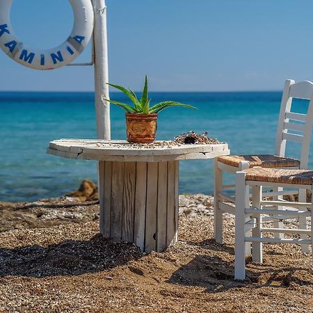 Vasilikí Fiore Beach Studios المظهر الخارجي الصورة